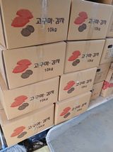 팜모닝 고구마·영농일지 게시글 이미지