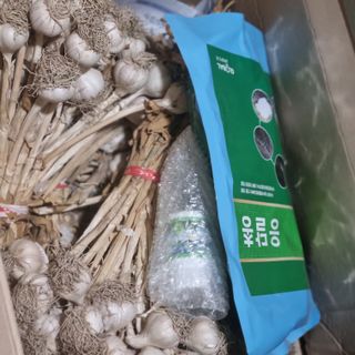 초록하늘별님의 기타작물 · 영농일지 작성글 사진