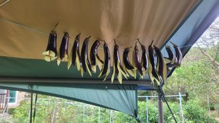 장석오님의 기타작물 · 영농일지 작성글 사진