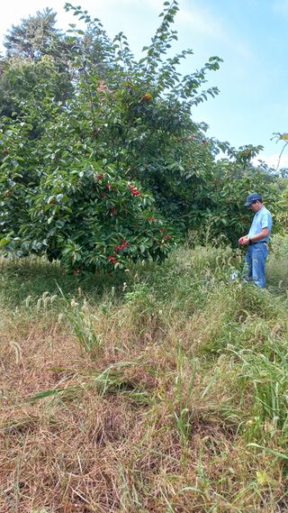 초보 구찌뽕님의 기타작물 · 영농일지 작성글 사진