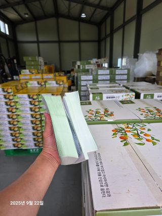 주하네팜(태추,부유님의 감 · 영농일지 작성글 사진