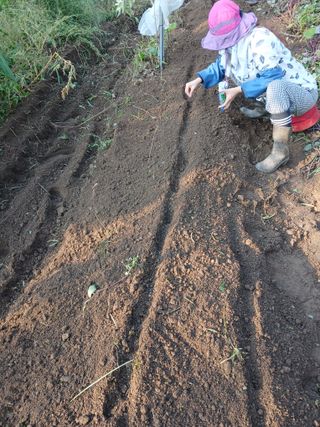향양농장 사랑합니다님의 기타작물 · 영농일지 작성글 사진