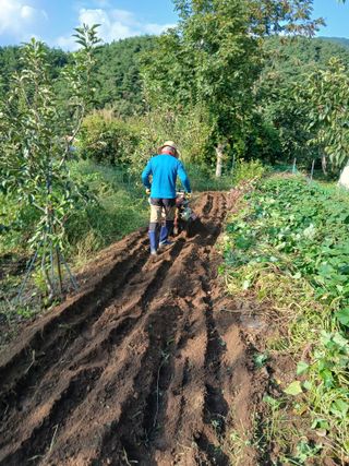 향양농장 사랑합니다님의 기타작물 · 영농일지 작성글 사진