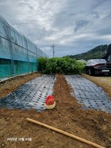 팜모닝 마늘·영농일지 게시글 이미지