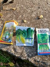 팜모닝 기타작물·영농일지 게시글 이미지