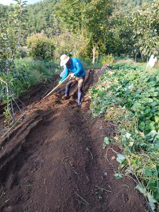 향양농장 사랑합니다님의 기타작물 · 영농일지 작성글 사진