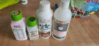 박상중님의 마늘 · 영농일지 작성글 사진