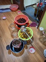 팜모닝 기타작물·영농일지 게시글 이미지