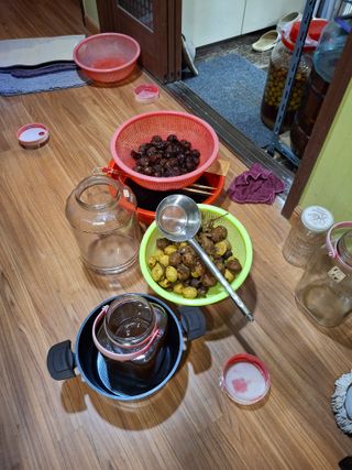 헤이쥬회원님의 기타작물 · 영농일지 작성글 사진