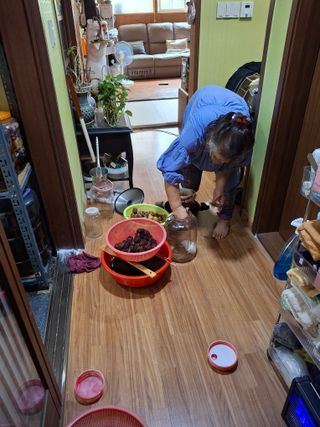 헤이쥬회원님의 기타작물 · 영농일지 작성글 사진