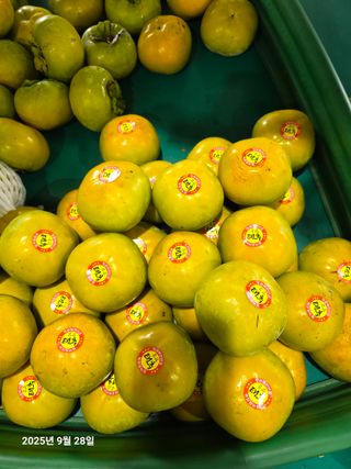 주하네팜(태추,부유님의 감 · 영농일지 작성글 사진