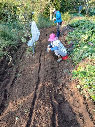 향양농장 사랑합니다님의 기타작물 · 영농일지 작성글 사진