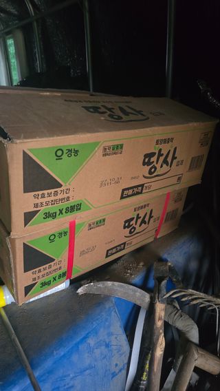 김영한님의 파 · 영농일지 작성글 사진