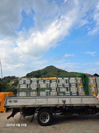 주하네팜(태추,부유님의 감 · 영농일지 작성글 사진