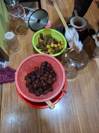 헤이쥬회원님의 기타작물 · 영농일지 작성글 사진