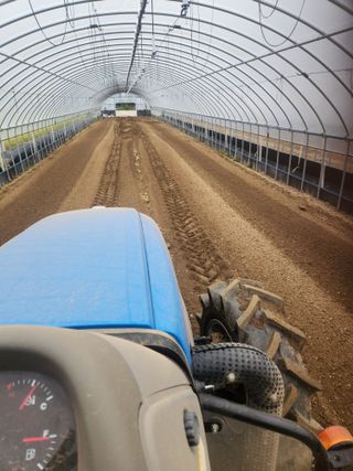 김저팔계님의 파 · 영농일지 작성글 사진