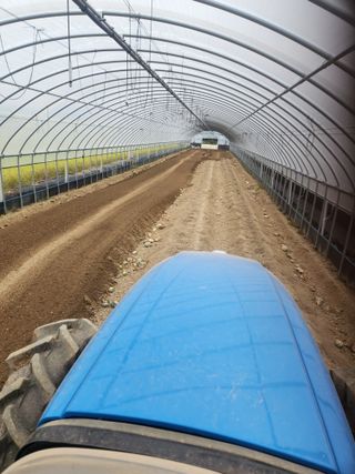 김저팔계님의 파 · 영농일지 작성글 사진