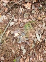 팜모닝 기타작물·영농일지 게시글 이미지