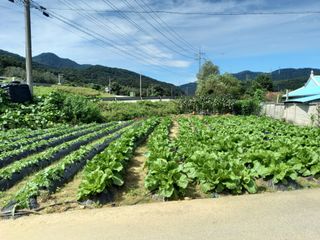 김영문님의 기타작물 · 영농일지 작성글 사진