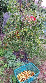 팜모닝 기타작물·영농일지 게시글 이미지