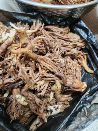 김영옥님의 기타작물 · 영농일지 작성글 사진