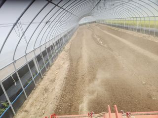 김저팔계님의 파 · 영농일지 작성글 사진