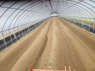 김저팔계님의 파 · 영농일지 작성글 사진