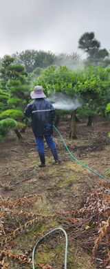 팜모닝 기타작물·영농일지 게시글 이미지