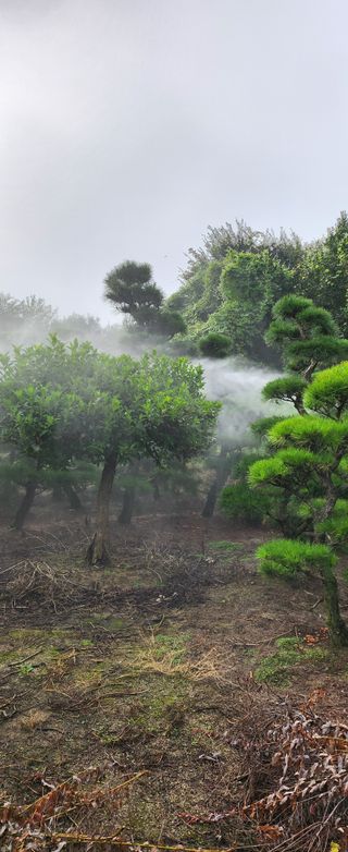 상추22033님의 기타작물 · 영농일지 작성글 사진