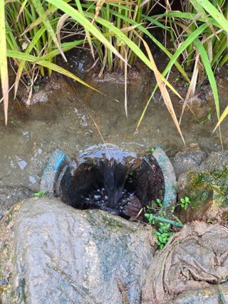 병섭님의 벼 · 영농일지 작성글 사진