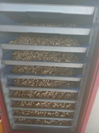 안승호님의 기타작물 · 영농일지 작성글 사진