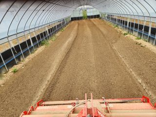 김저팔계님의 파 · 영농일지 작성글 사진