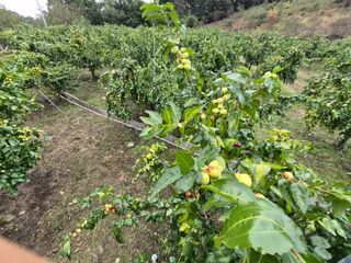 쌍둥이네농장님의 기타작물 · 영농일지 작성글 사진