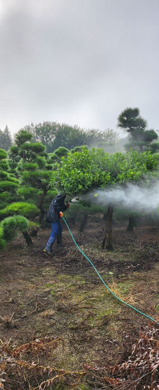 상추22033님의 기타작물 · 영농일지 작성글 사진