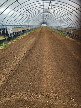 김저팔계님의 파 · 영농일지 작성글 사진