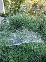 팜모닝 기타작물·영농일지 게시글 이미지