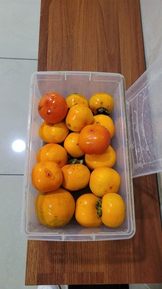 화양초보님의 기타작물 · 영농일지 작성글 사진