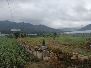 正覺님의 기타작물 · 영농일지 작성글 사진