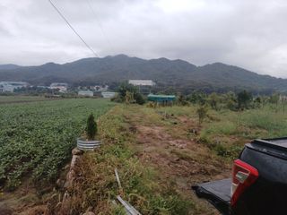 正覺님의 기타작물 · 영농일지 작성글 사진