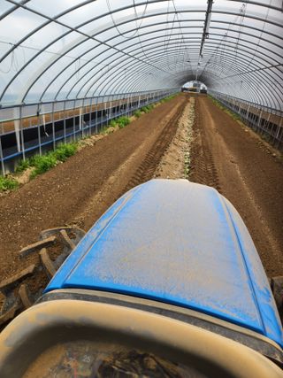 김저팔계님의 파 · 영농일지 작성글 사진