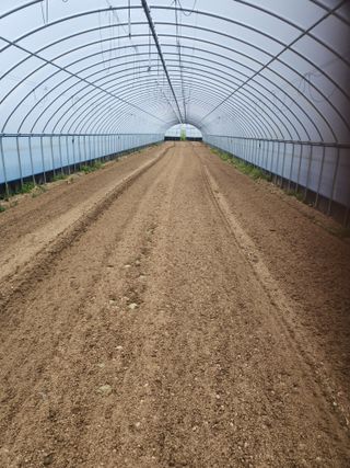 김저팔계님의 파 · 영농일지 작성글 사진