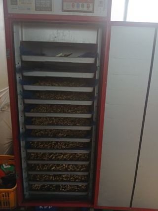 안승호님의 기타작물 · 영농일지 작성글 사진