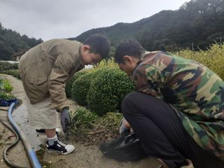 김기탁님의 기타작물 · 영농일지 작성글 사진