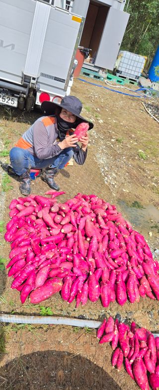 상추22033님의 기타작물 · 영농일지 작성글 사진