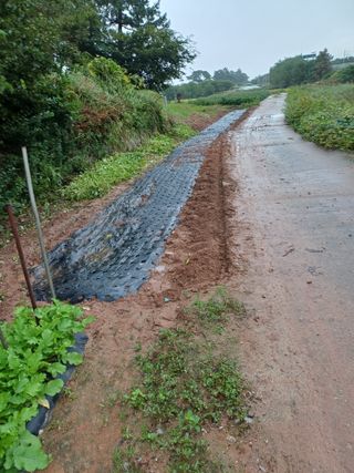 홍순오님의 들깨 · 영농일지 작성글 사진