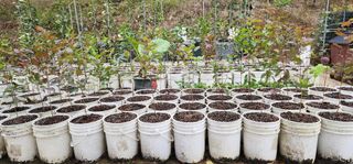 고동옥님의 기타작물 · 영농일지 작성글 사진