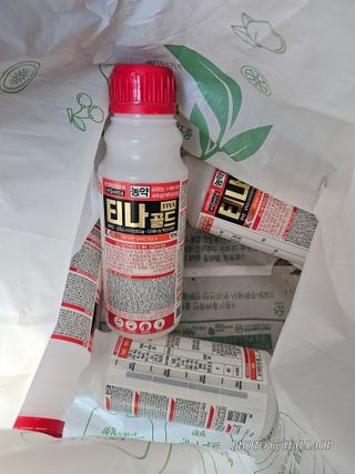 모래알님의 귤 · 영농일지 작성글 사진