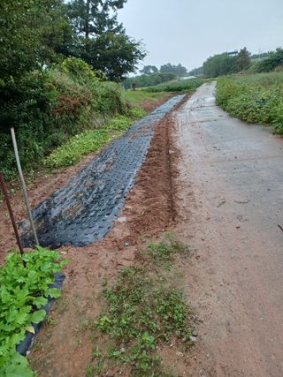 홍순오님의 기타작물 · 영농일지 작성글 사진