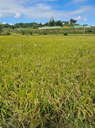 윤길정님의 기타작물 · 영농일지 작성글 사진
