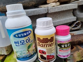 김희경머든apple님의 사과 · 영농일지 작성글 사진